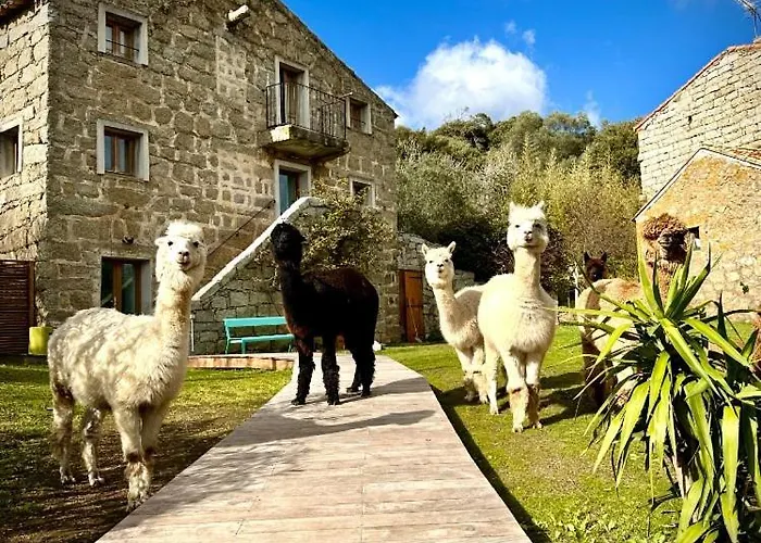 Figari (Corsica) Hotels