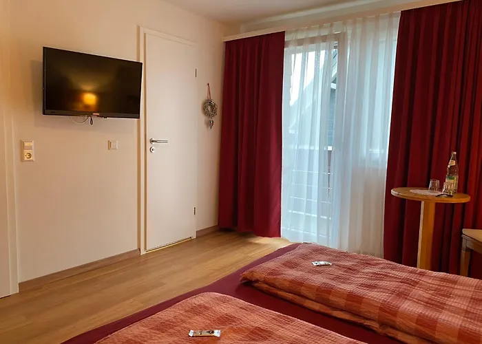 Hotels in Feldberg (Baden-Wurttemberg)