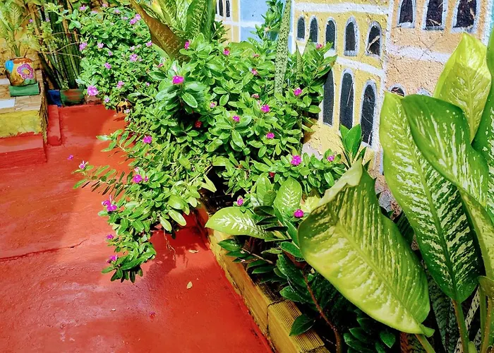 Perto Do Aeroporto De Salvador - Dona Pitanga Hostel
