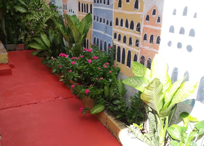 Perto Do Aeroporto De Salvador - Dona Pitanga Hostel