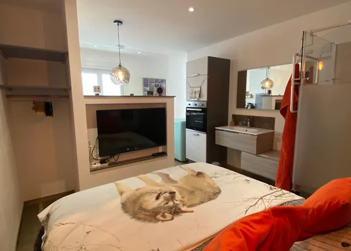 Bed and Breakfast Sleeping Bio Tea à Thionville