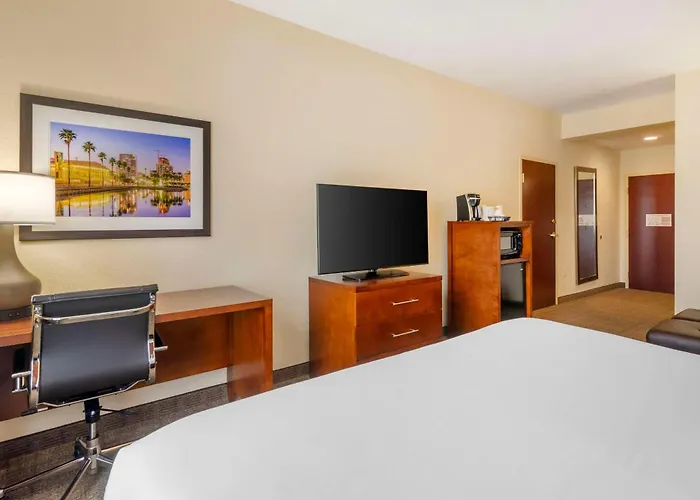 Comfort Inn & Suites Northeast - Gateway St. Petersburg