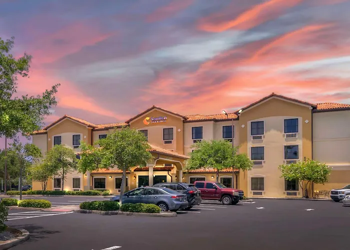 Comfort Inn & Suites Northeast - Gateway St. Petersburg