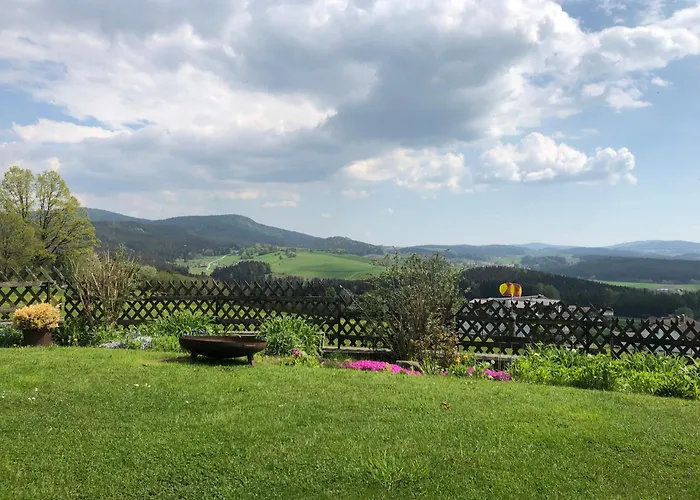 Hotels in Rinchnach