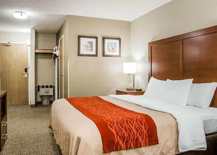 Comfort Inn