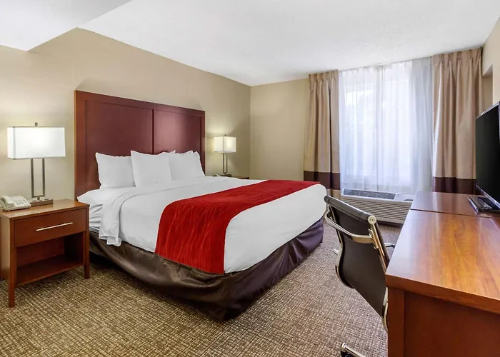 Comfort Inn St Petersburg North