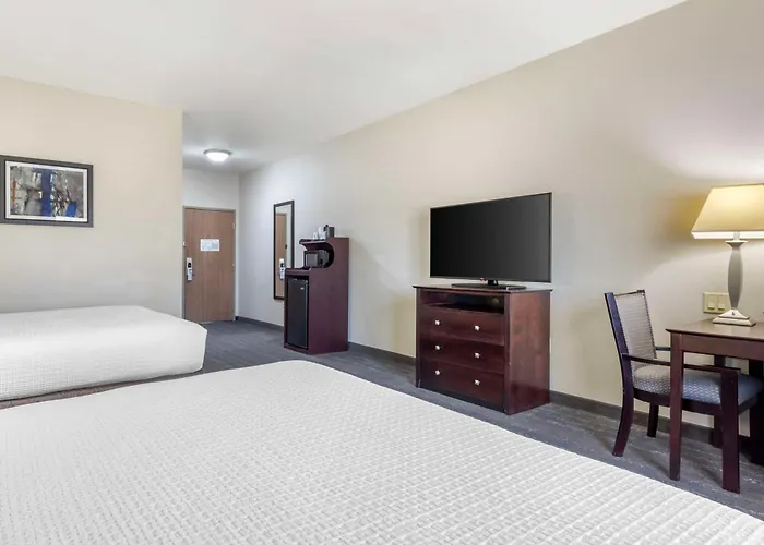 Best Western Plus Mansfield Inn & Suites