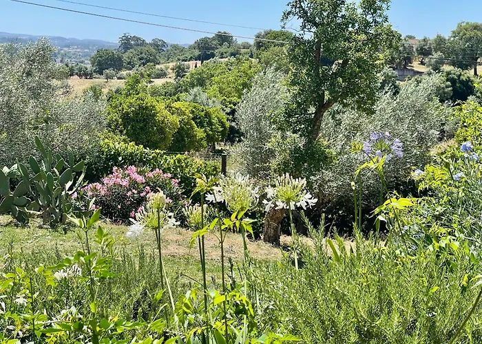 Best Luxury Boutique B&B Vista Do Vale Tomar