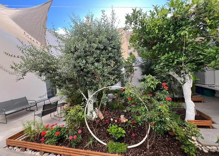 Patio 101 "Exclusive"