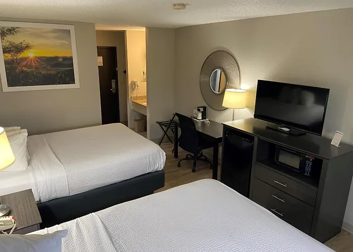 Carthage Hotels