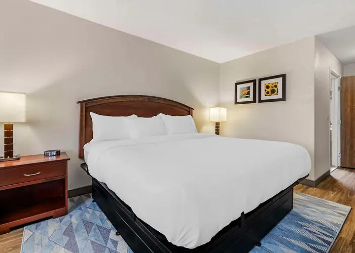 Comfort Inn Albert Lea At Trails Travel Center