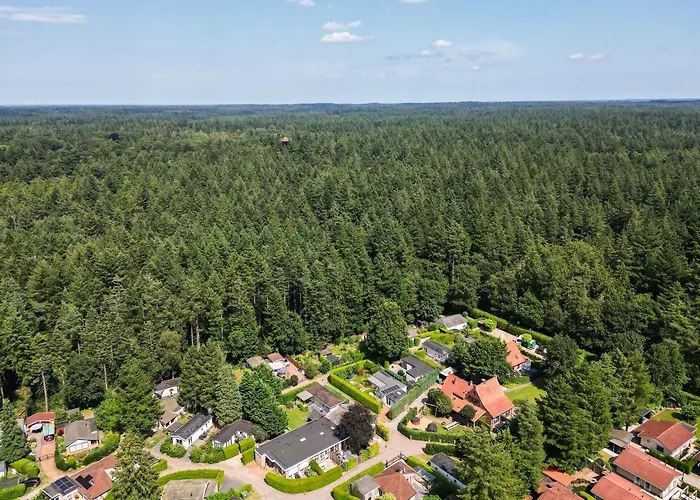 Ruim En Licht Bij Bos En Heide Op De Veluwe Villa Putten
