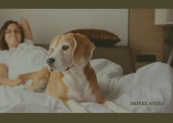 Sylva City Center Hotels