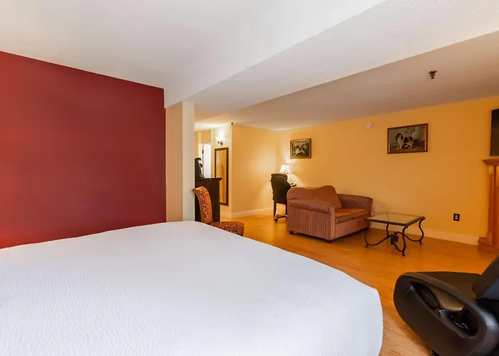 Bingham Hotels