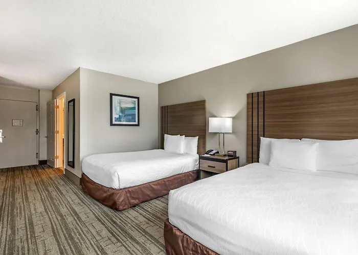 Laurel Hotels
