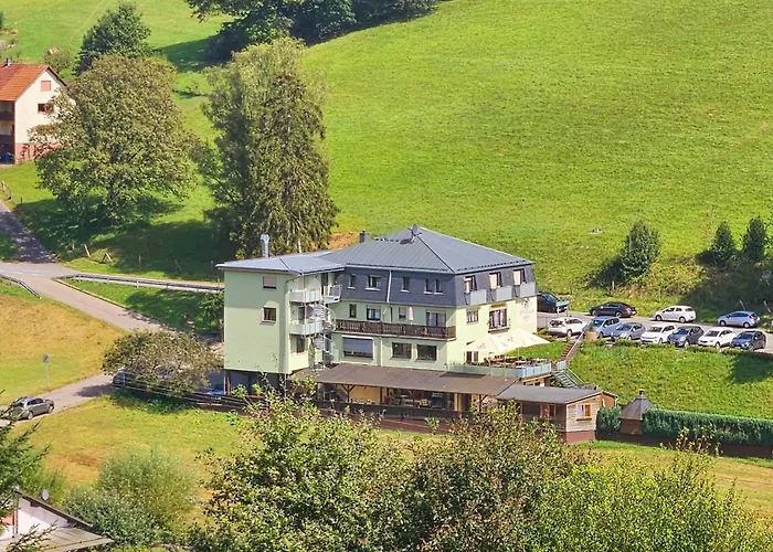 Hotel Grüner Baum mit Restaurant&Wellness