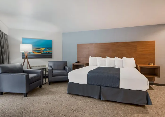 Hotels in Vida