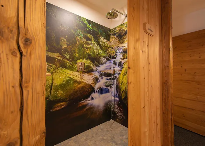 Hotels in Kurort Gohrisch