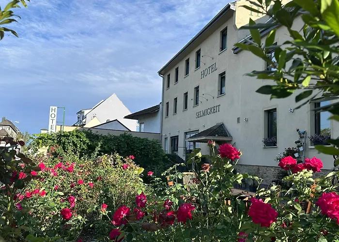 Hotels in Bingen am Rhein