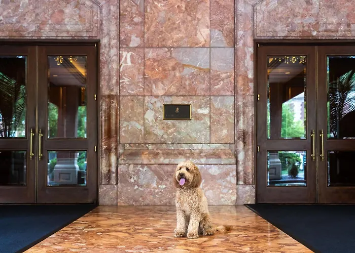 The Ritz-Carlton, St. Louis Hotel Clayton