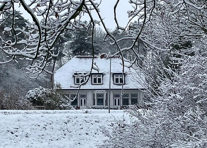B&B De Zulthe Roden