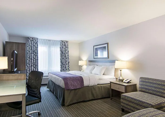 Comfort Inn Williamsburg Gateway