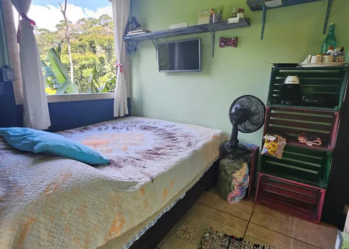 Hotéis de Sao Pedro da Serra (Rio de Janeiro)