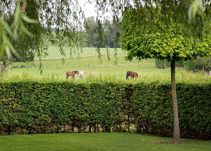 B&B Bertem Natuur