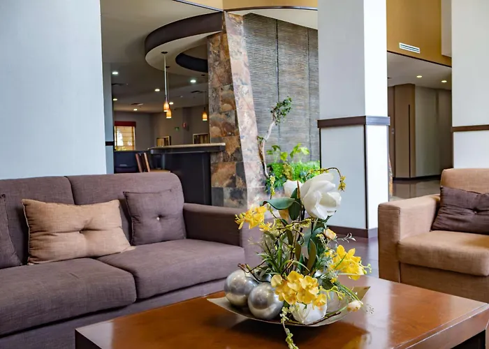 Apodaca Hotels