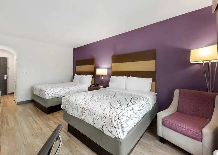 Best Western Plus Buda Austin Inn & Suites