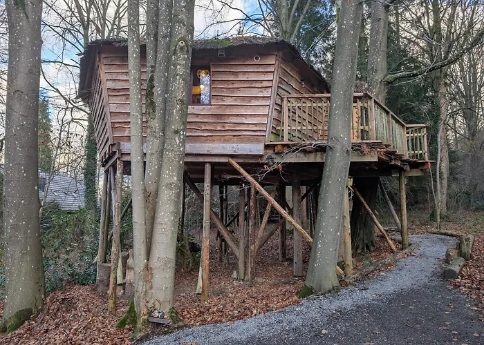 B&B La Cabane Du Bois Dormant