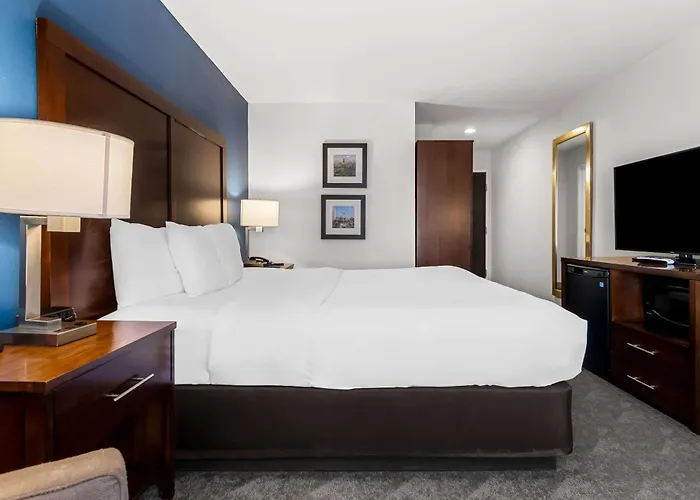 Comfort Inn & Suites Near Tinley Park Amphitheater