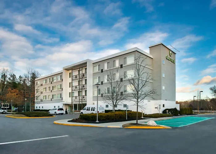 Element Lexington