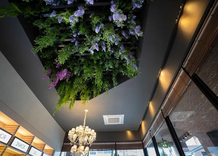 South Vandeco Hotel