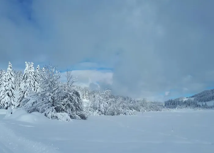 Hôtels à Lamoura
