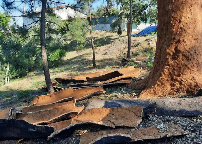 Quinta Quatro Ventos Acomodação com café da manhã Sertã