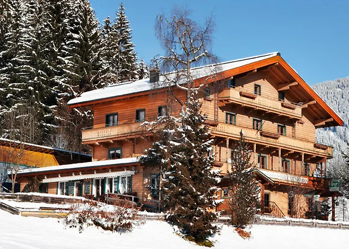 Hotels in Mittersill