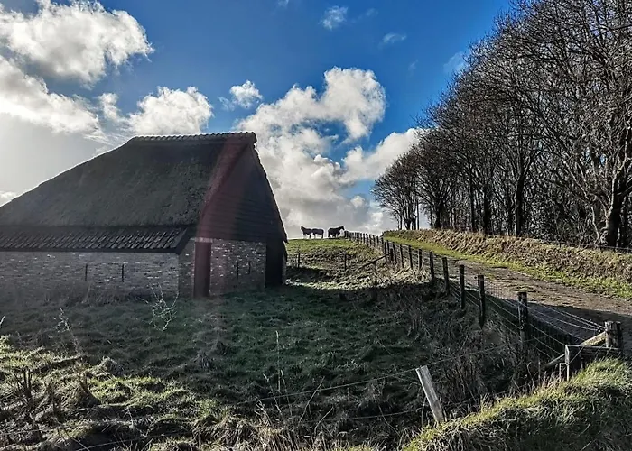 B&B Vloedlijn Texel Den Burg
