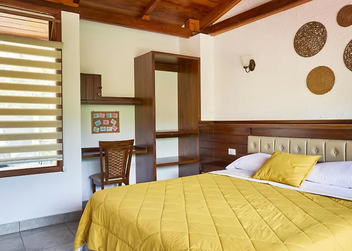 Hotels in Mindo