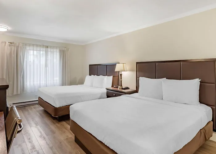 Best Western Carmel'S Town House Lodge