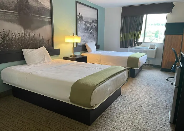 Super 8 By Wyndham Lynchburg Va Hotel
