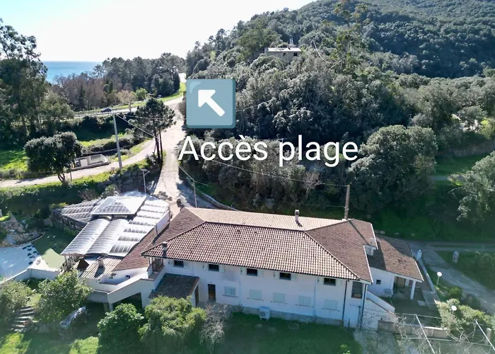 Sari-Solenzara Hotels