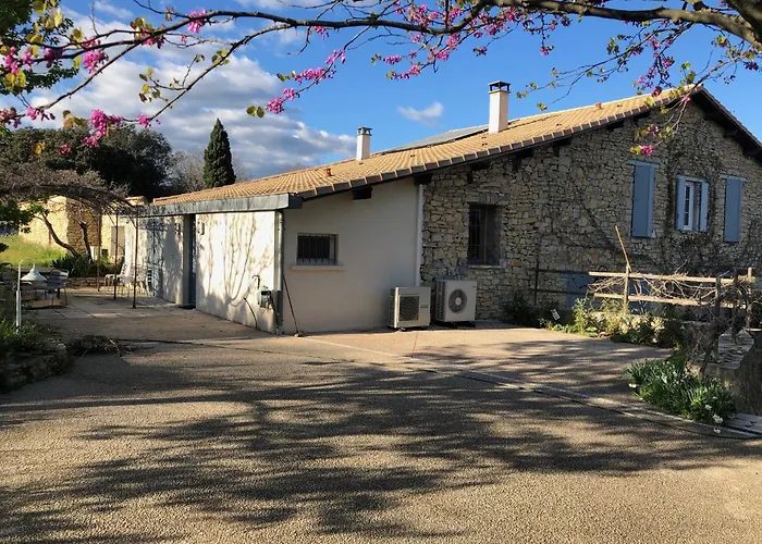 Le Mas Des Oliviers Nîmes
