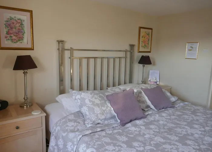 Axminster City Center Hotels