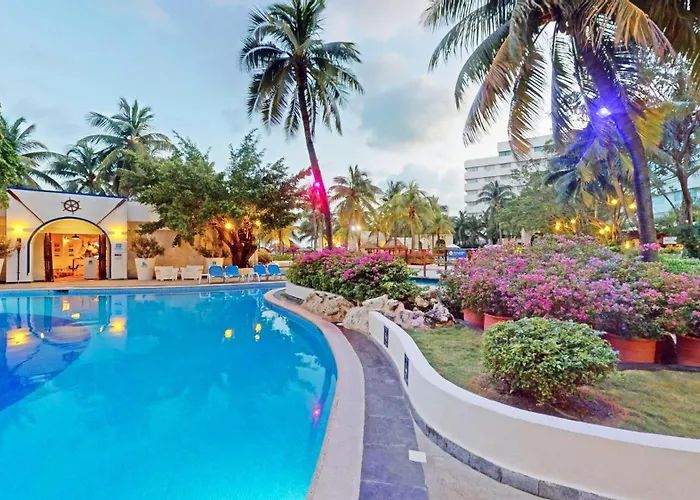 Oasis Palm