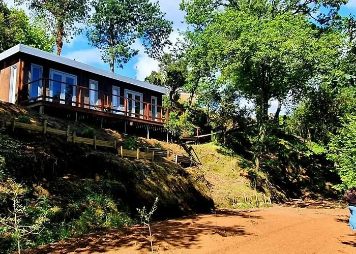 Quinta Mata Da Se