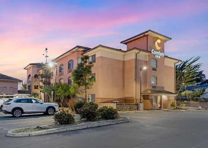 Luxury Hotels in Marina
