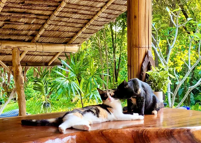 Hôtels à Ko Pha Ngan