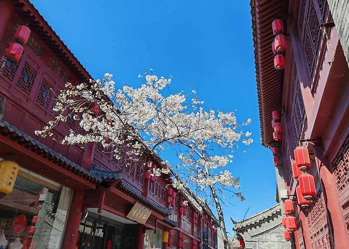 Luoyang (Henan) Hotels
