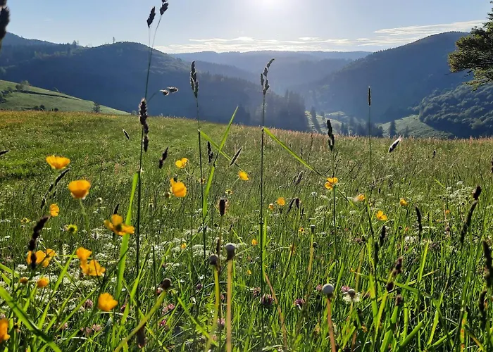 Grüner Baum Naturparkhotel&Schwarzwald-Restaurant Todtnau